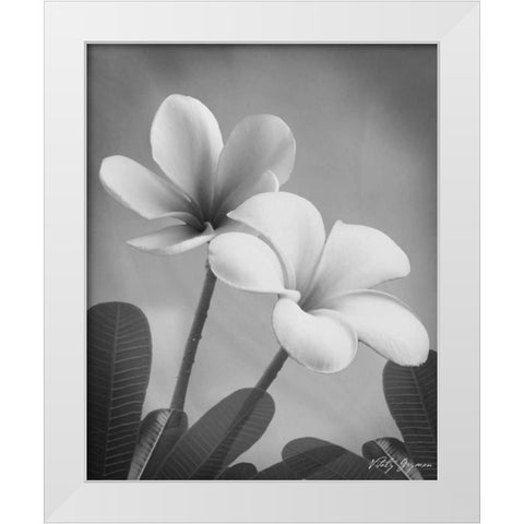 Plumeria II White Modern Wood Framed Art Print by Geyman, Vitaly
