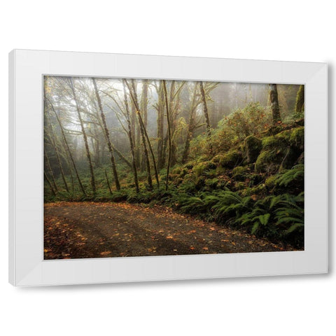 Rain Forest White Modern Wood Framed Art Print by Head, Danny