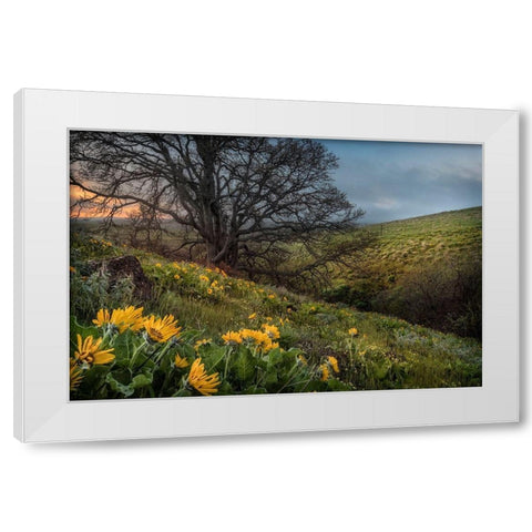 Hillside Oak White Modern Wood Framed Art Print by Head, Danny