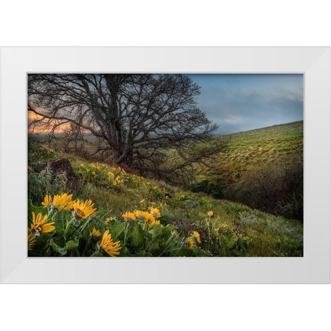 Hillside Oak White Modern Wood Framed Art Print by Head, Danny