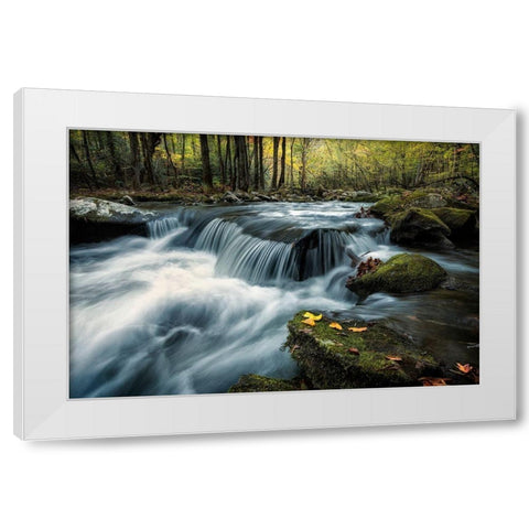 Last Light at Tremont White Modern Wood Framed Art Print by Head, Danny