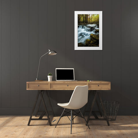 Autumn Trio White Modern Wood Framed Art Print by Head, Danny