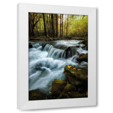 Autumn Trio White Modern Wood Framed Art Print by Head, Danny