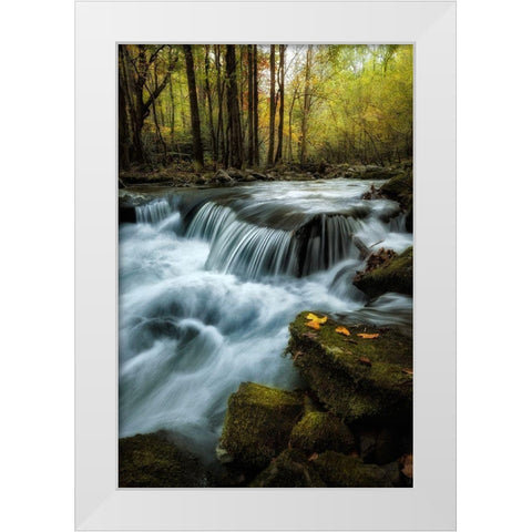 Autumn Trio White Modern Wood Framed Art Print by Head, Danny