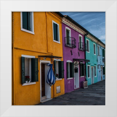 True Colors White Modern Wood Framed Art Print by Head, Danny