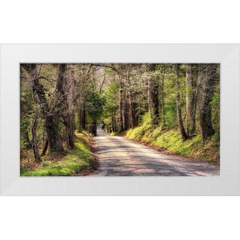 Sundays Drive White Modern Wood Framed Art Print by Head, Danny