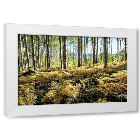 Golden Ferns White Modern Wood Framed Art Print by Head, Danny