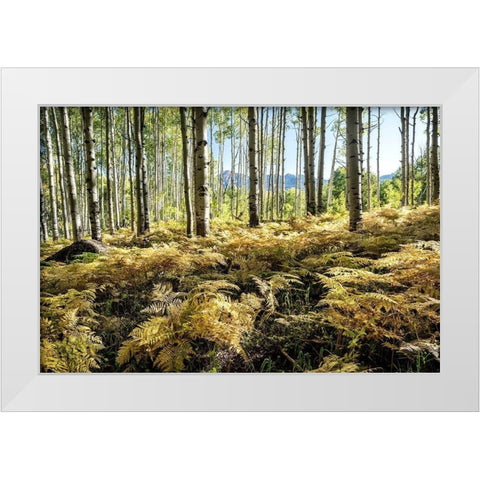 Golden Ferns White Modern Wood Framed Art Print by Head, Danny