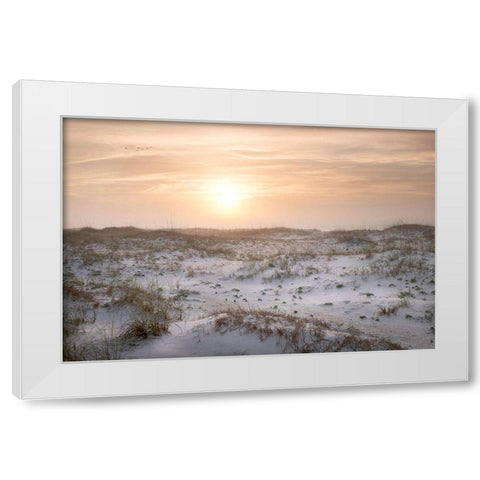 Six Birds White Modern Wood Framed Art Print by Head, Danny