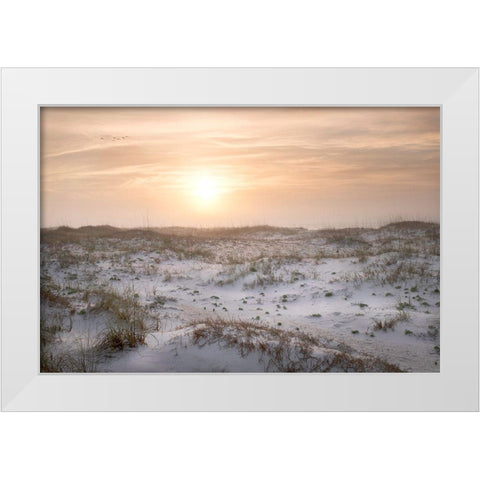Six Birds White Modern Wood Framed Art Print by Head, Danny