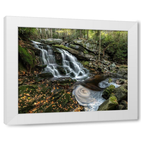 Swirls White Modern Wood Framed Art Print by Head, Danny