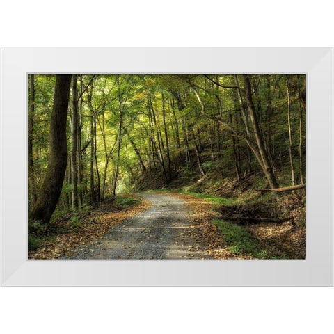 All Down Hill White Modern Wood Framed Art Print by Head, Danny