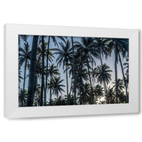 Palm Grove I White Modern Wood Framed Art Print by Head, Danny