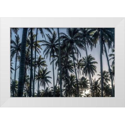 Palm Grove I White Modern Wood Framed Art Print by Head, Danny