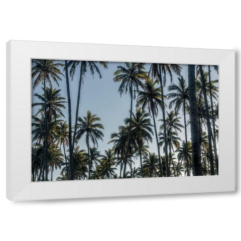Palm Grove II White Modern Wood Framed Art Print by Head, Danny
