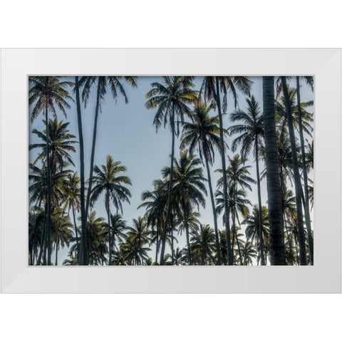 Palm Grove II White Modern Wood Framed Art Print by Head, Danny