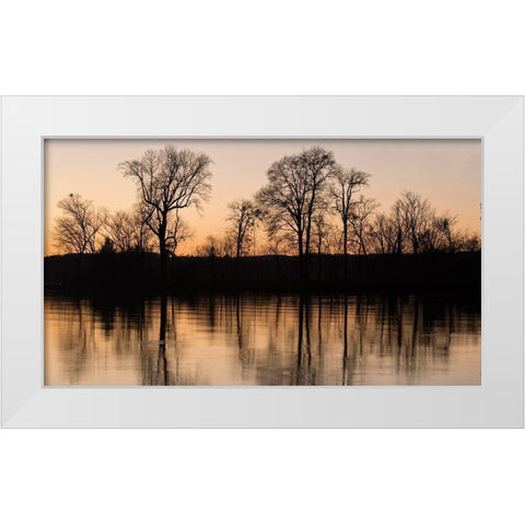Island Reflections White Modern Wood Framed Art Print by Head, Danny