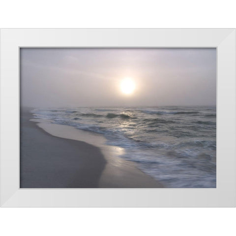 Surf II White Modern Wood Framed Art Print by Head, Danny