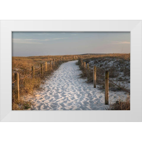 Beach Tracks White Modern Wood Framed Art Print by Head, Danny