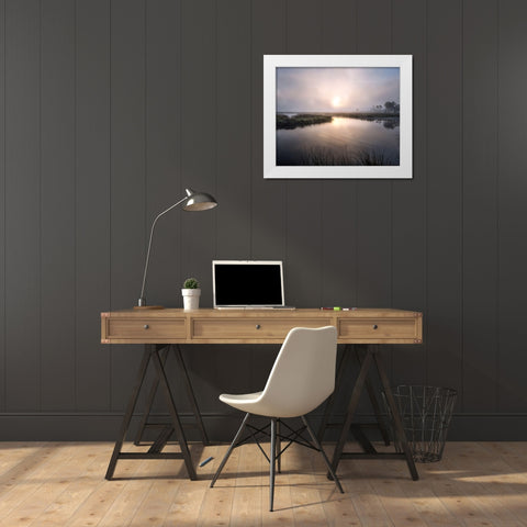 Fog on the Bayou White Modern Wood Framed Art Print by Head, Danny