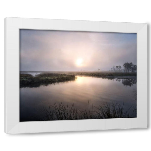 Fog on the Bayou White Modern Wood Framed Art Print by Head, Danny
