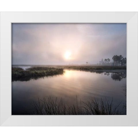 Fog on the Bayou White Modern Wood Framed Art Print by Head, Danny