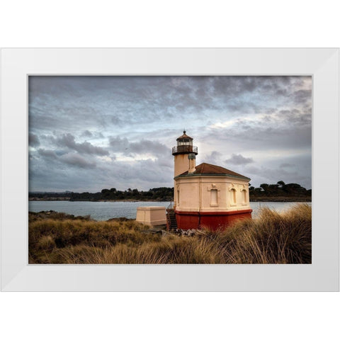 Coquilla Light White Modern Wood Framed Art Print by Head, Danny