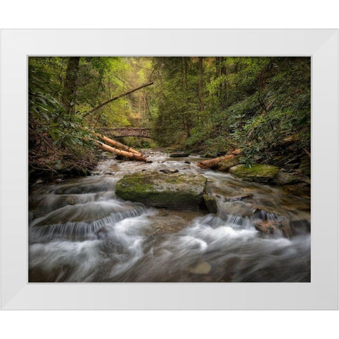 Spring Colors White Modern Wood Framed Art Print by Head, Danny