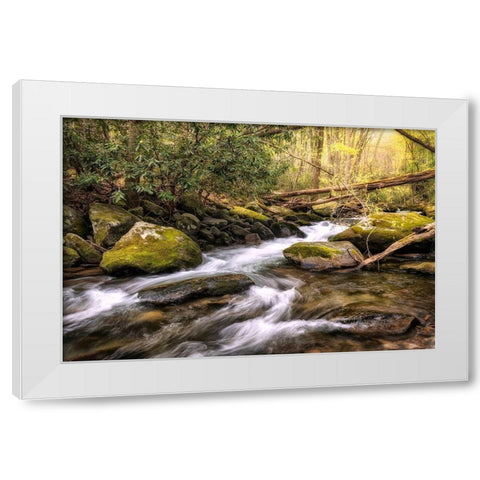 Running FreeI White Modern Wood Framed Art Print by Head, Danny