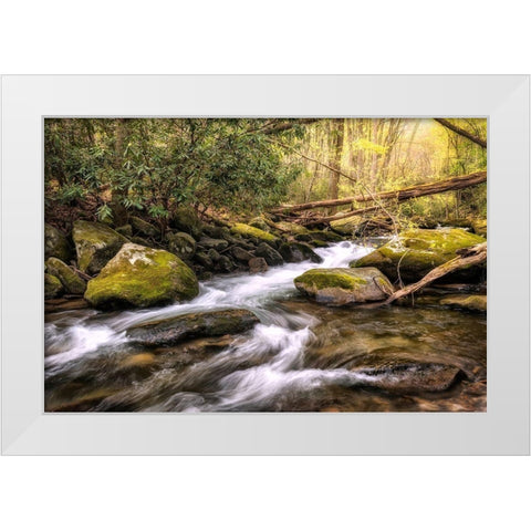 Running FreeI White Modern Wood Framed Art Print by Head, Danny
