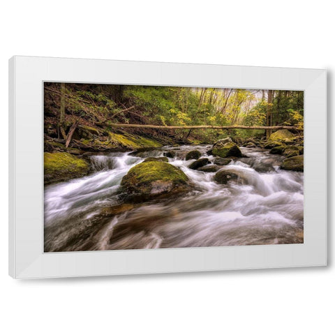 Running Free II White Modern Wood Framed Art Print by Head, Danny