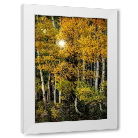 Peeking Through White Modern Wood Framed Art Print by Head, Danny