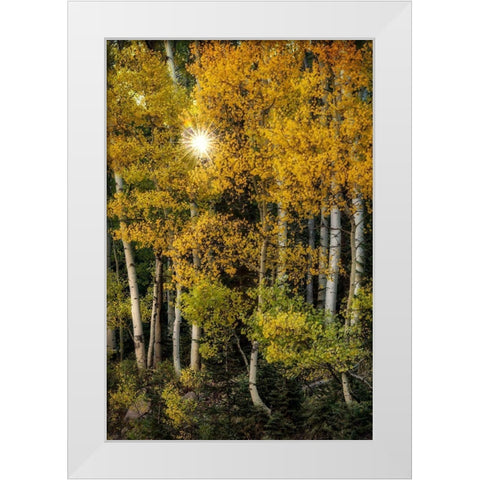 Peeking Through White Modern Wood Framed Art Print by Head, Danny