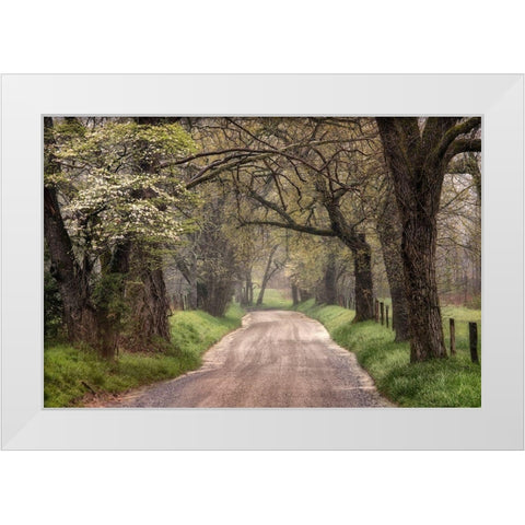 Memory Lane I White Modern Wood Framed Art Print by Head, Danny