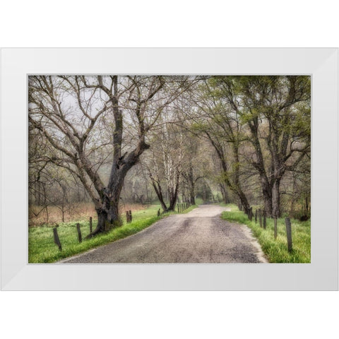 Memory Lane II White Modern Wood Framed Art Print by Head, Danny