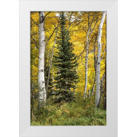 Stuck in the Middle White Modern Wood Framed Art Print by Head, Danny