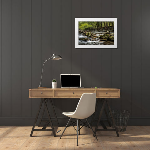 Big Creek White Modern Wood Framed Art Print by Head, Danny