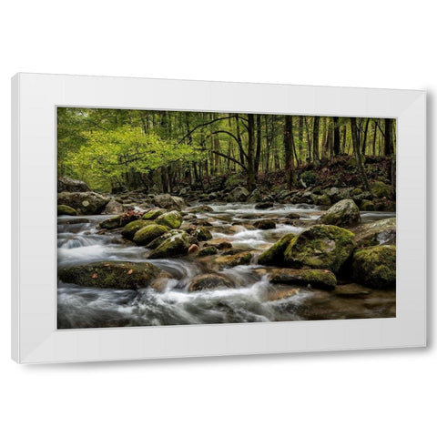 Big Creek White Modern Wood Framed Art Print by Head, Danny