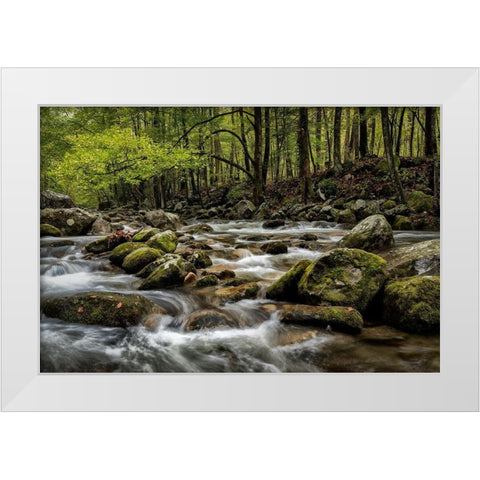 Big Creek White Modern Wood Framed Art Print by Head, Danny
