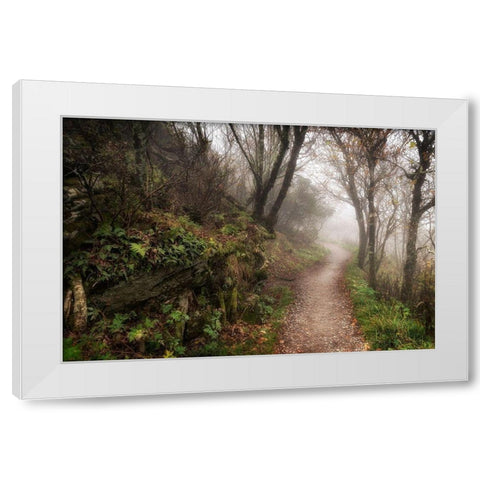 Hikers Dream White Modern Wood Framed Art Print by Head, Danny
