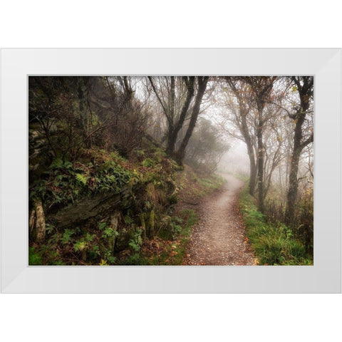 Hikers Dream White Modern Wood Framed Art Print by Head, Danny