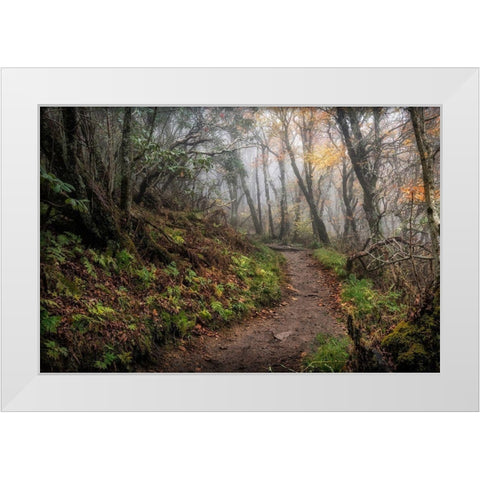 Long Walk White Modern Wood Framed Art Print by Head, Danny