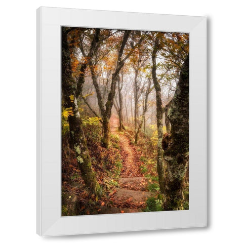 Welcoming Light White Modern Wood Framed Art Print by Head, Danny