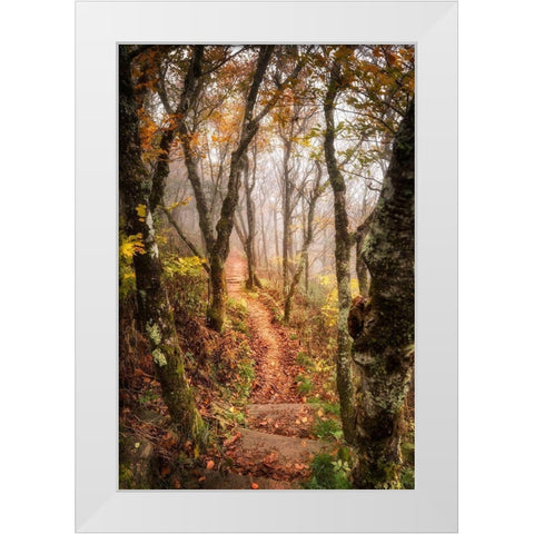 Welcoming Light White Modern Wood Framed Art Print by Head, Danny