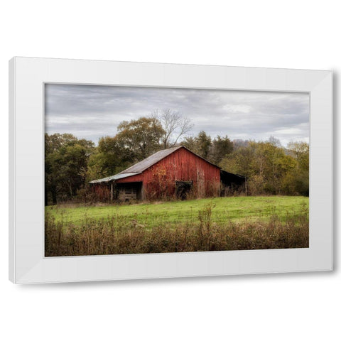 Warm Autumn White Modern Wood Framed Art Print by Head, Danny