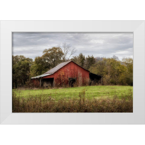 Warm Autumn White Modern Wood Framed Art Print by Head, Danny