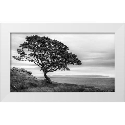 Survivor White Modern Wood Framed Art Print by Head, Danny