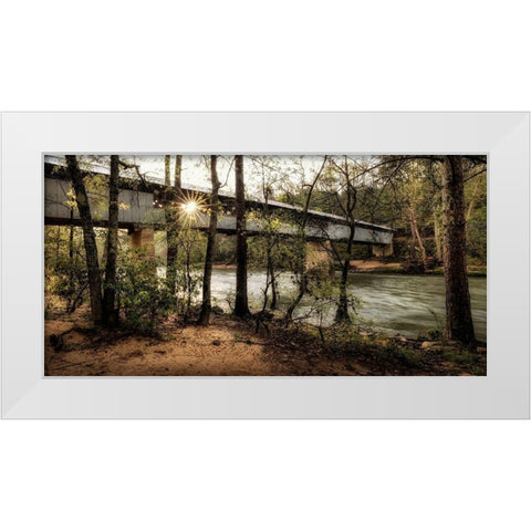 Swann Biridge III White Modern Wood Framed Art Print by Head, Danny