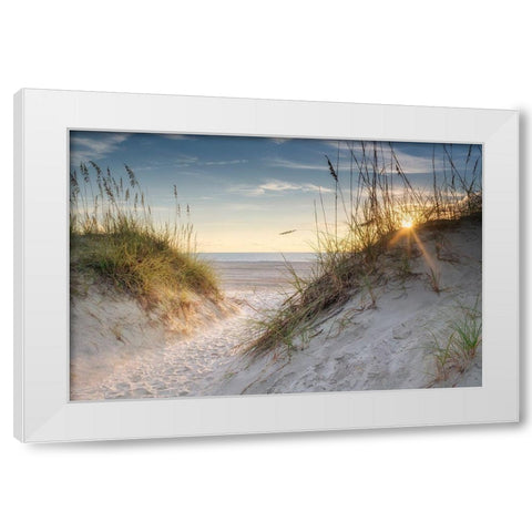 The Dunes White Modern Wood Framed Art Print by Head, Danny