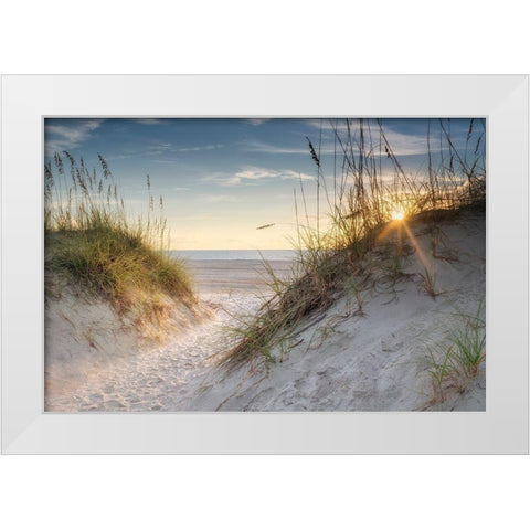 The Dunes White Modern Wood Framed Art Print by Head, Danny